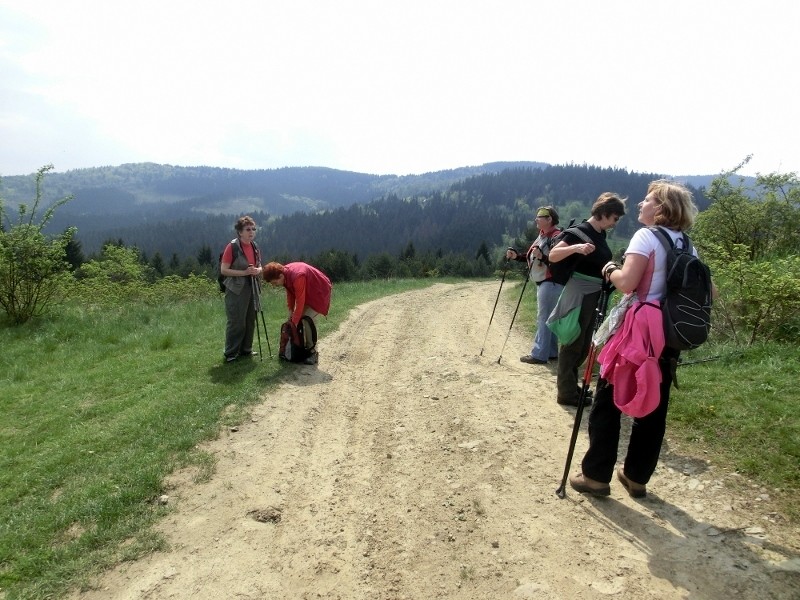 img00007.jpg