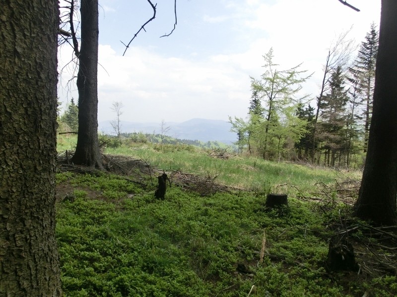 img00008.jpg