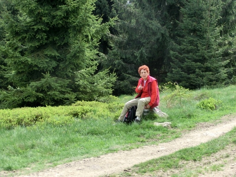img00009.jpg
