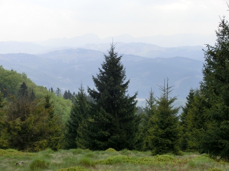 img00011.jpg