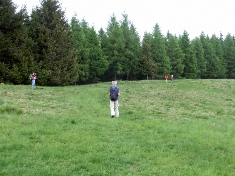 img00012.jpg