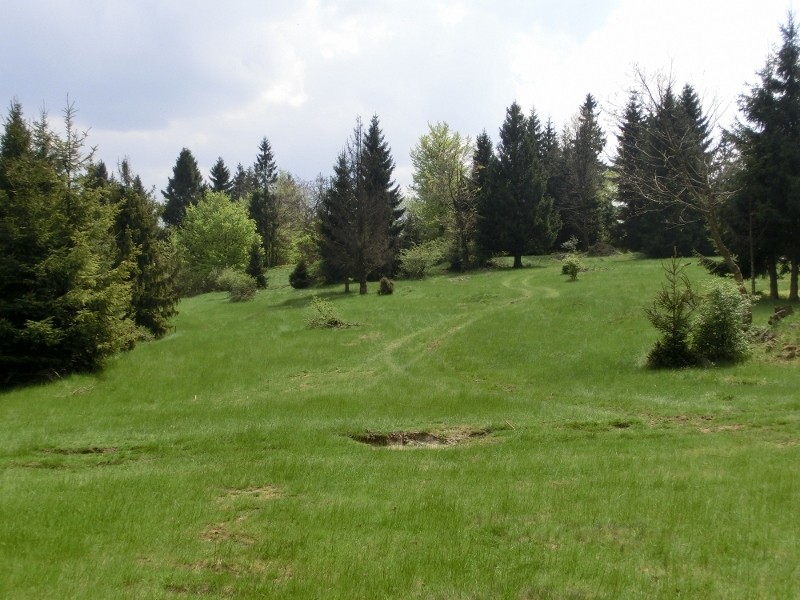 img00014.jpg