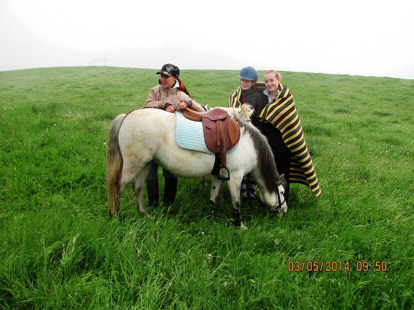 img00013.jpg