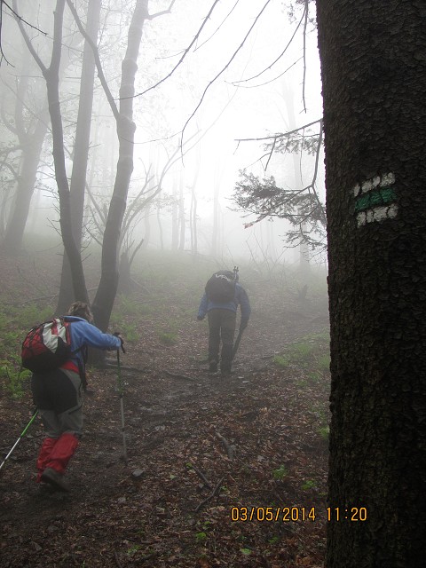 img00020.jpg
