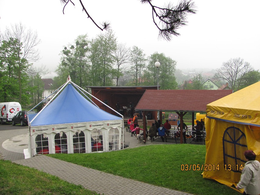 img00029.jpg