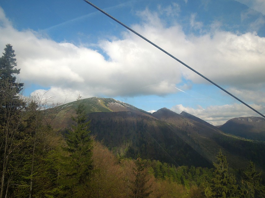 img00004.jpg