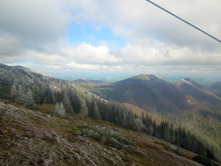 img00007.jpg