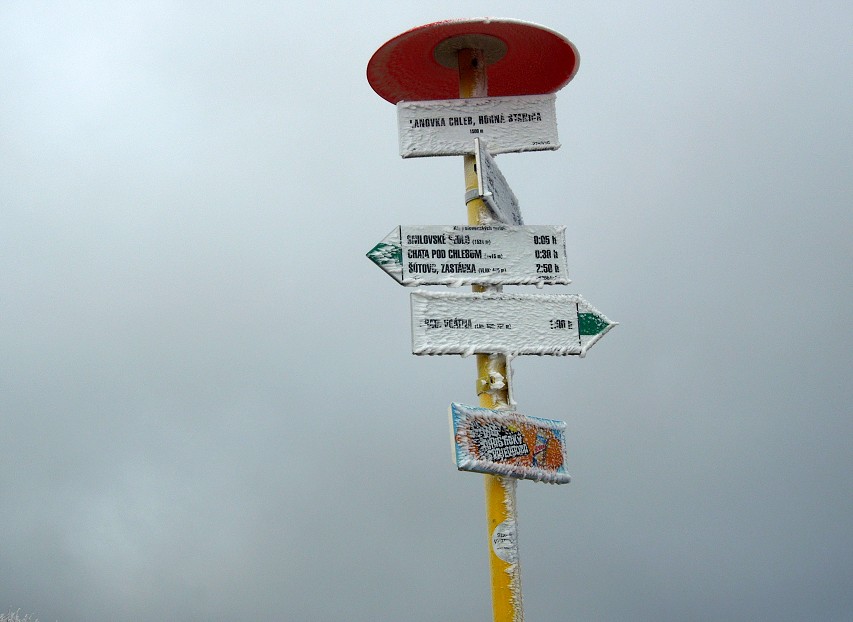 img00009.jpg