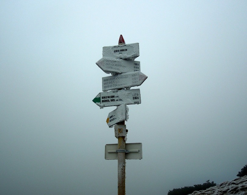 img00019.jpg