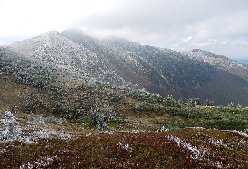 img00025.jpg