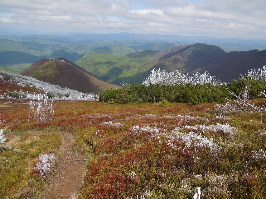 img00039.jpg
