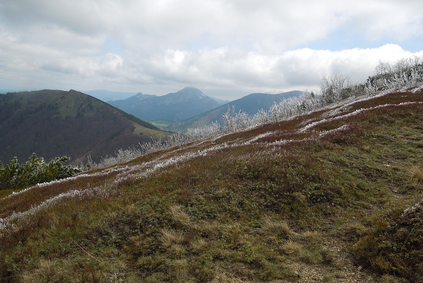 img00040.jpg