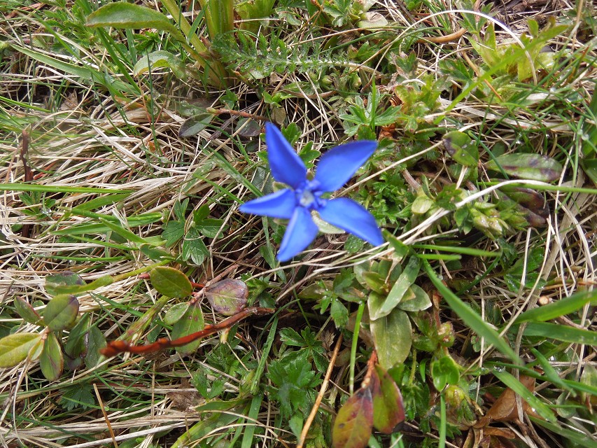 img00043.jpg
