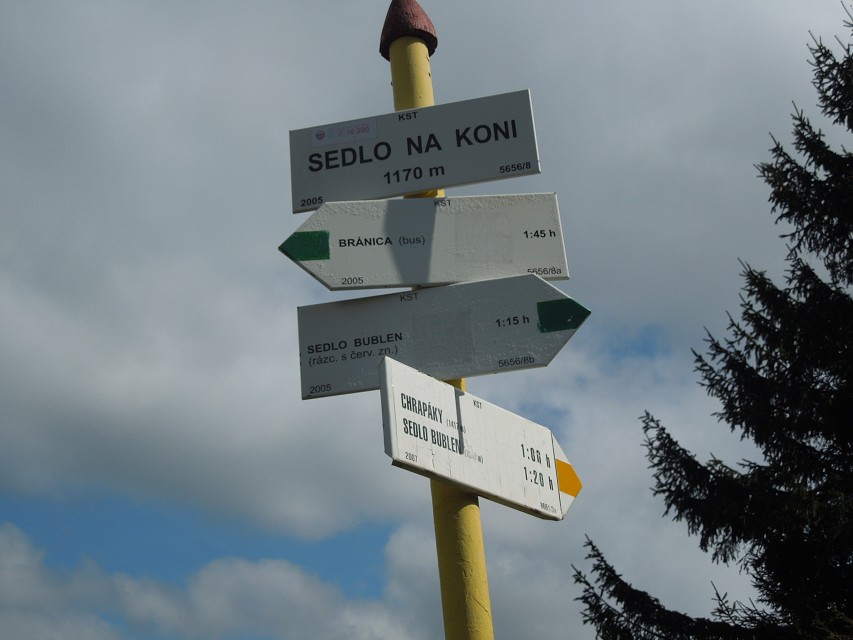 img00045.jpg