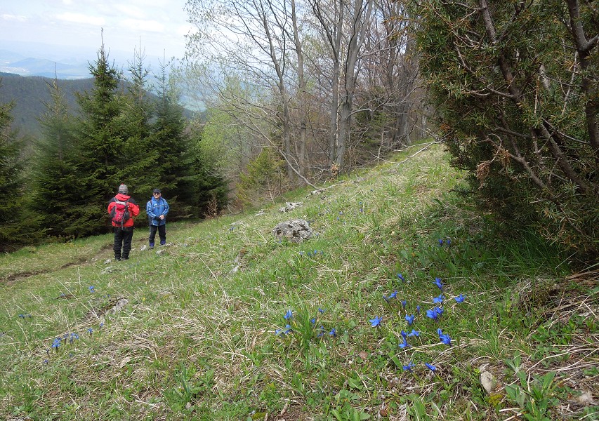 img00047.jpg