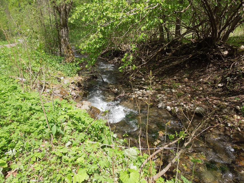 img00051.jpg