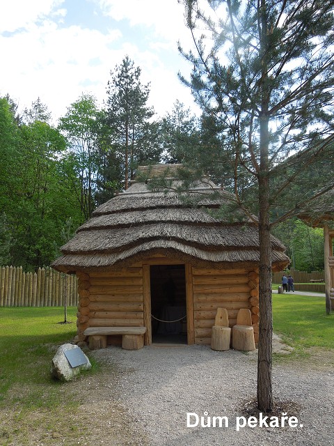 img00081.jpg