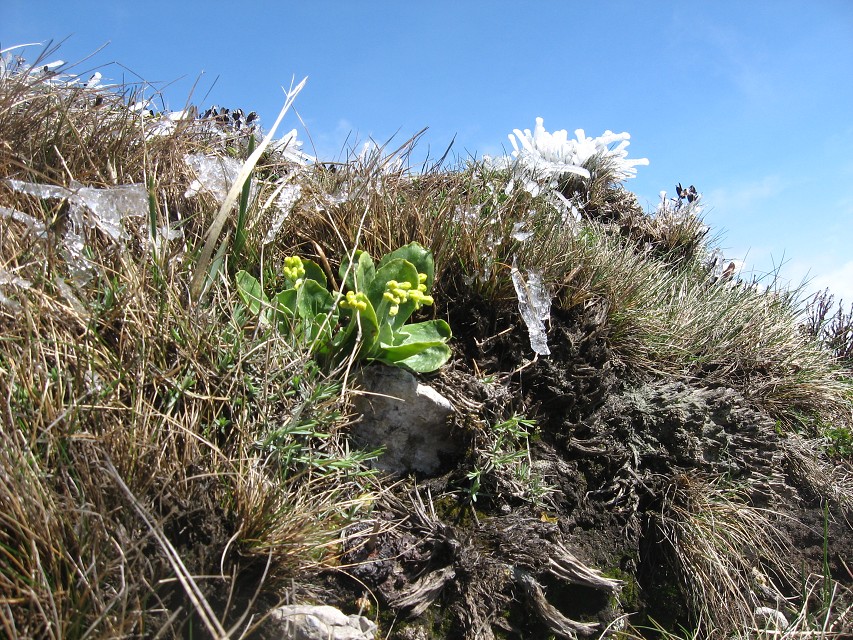 img00087.jpg