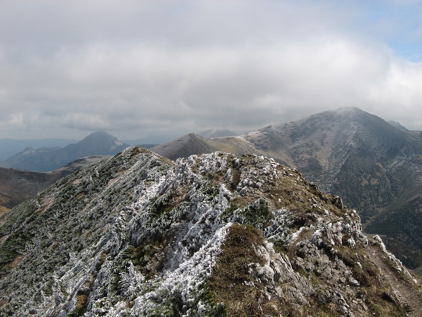 img00089.jpg