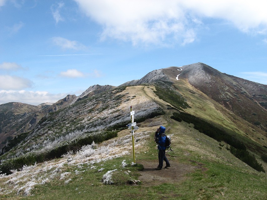 img00090.jpg