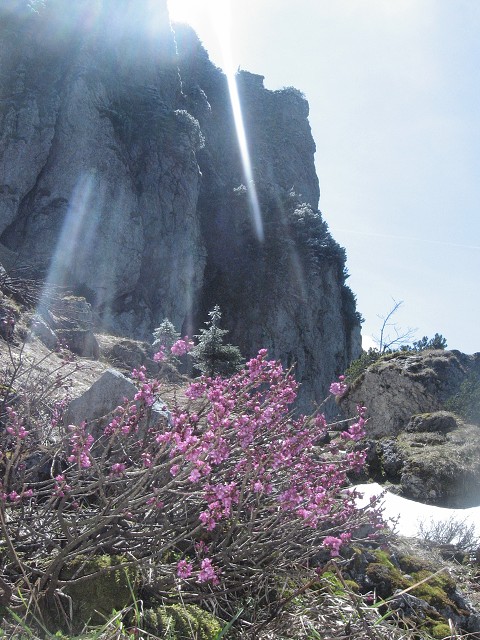 img00093.jpg