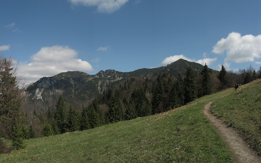 img00095.jpg