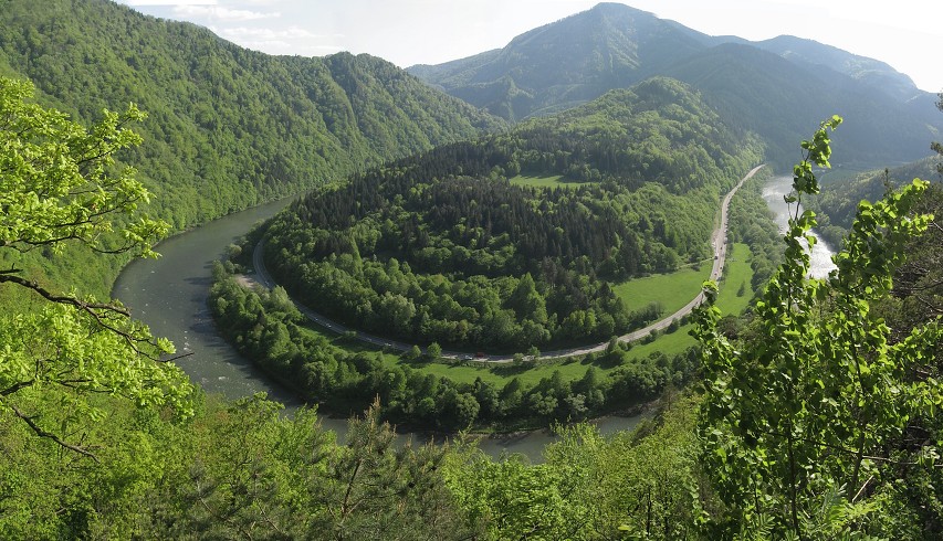img00098.jpg