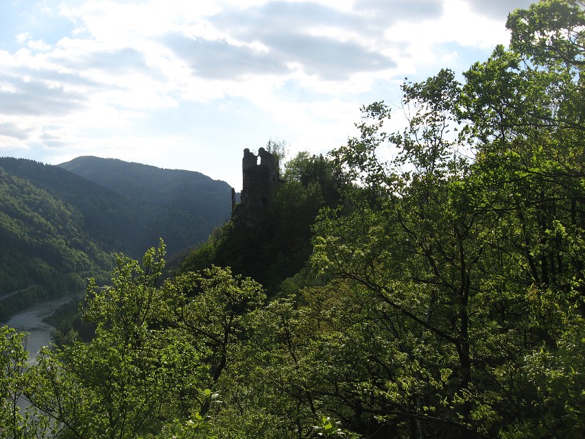 img00099.jpg