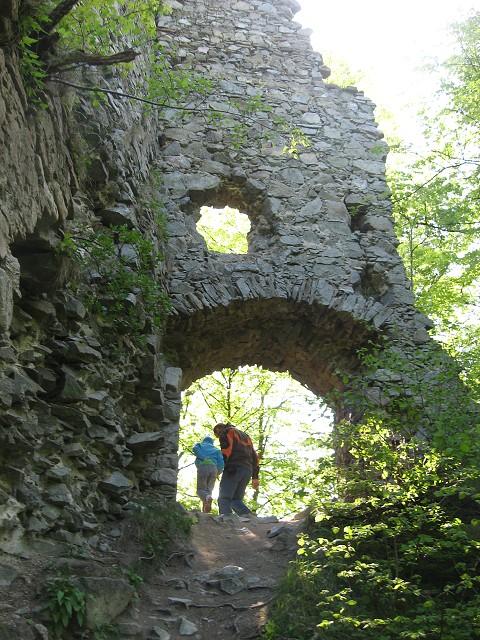 img00100.jpg