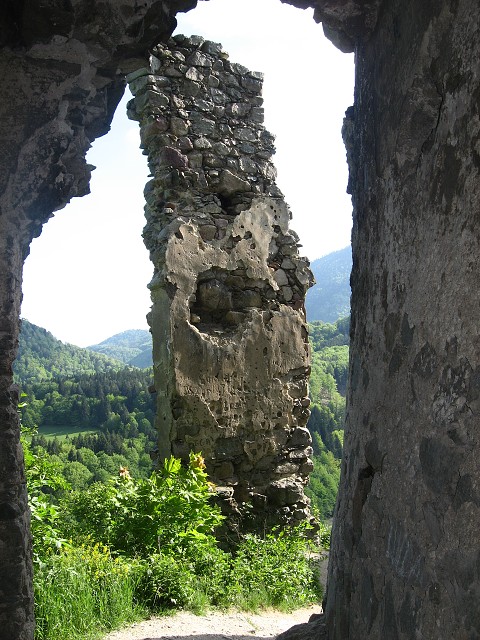 img00101.jpg