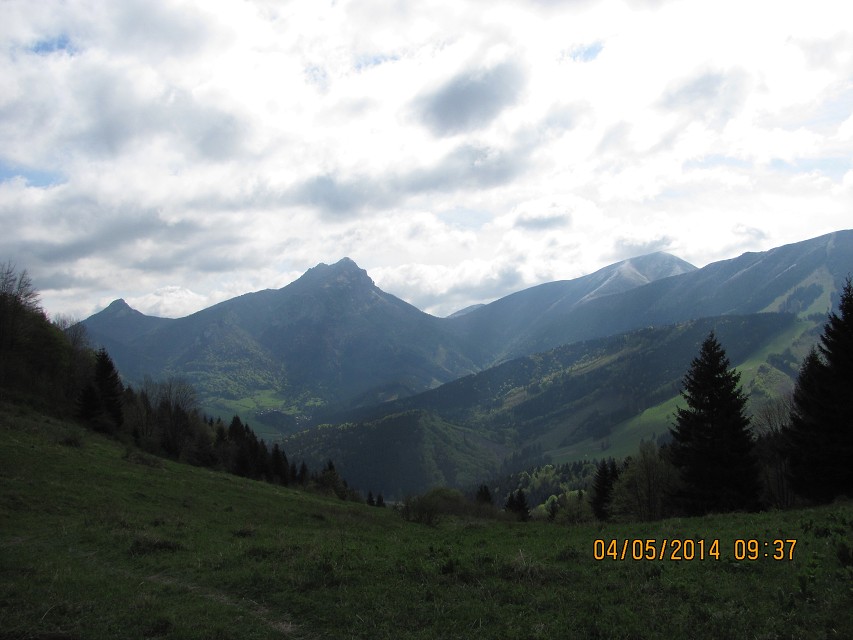 img00106.jpg