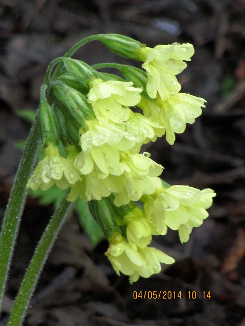 img00108.jpg