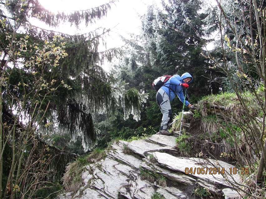 img00110.jpg