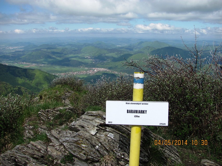 img00111.jpg