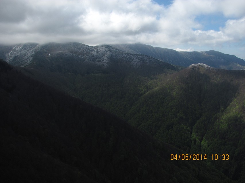 img00113.jpg
