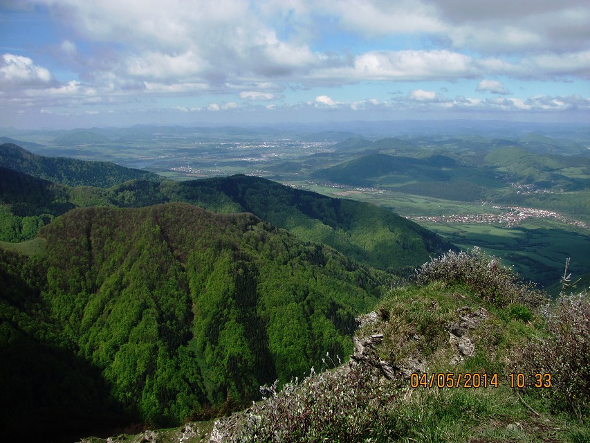 img00115.jpg