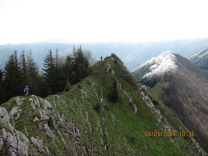 img00116.jpg