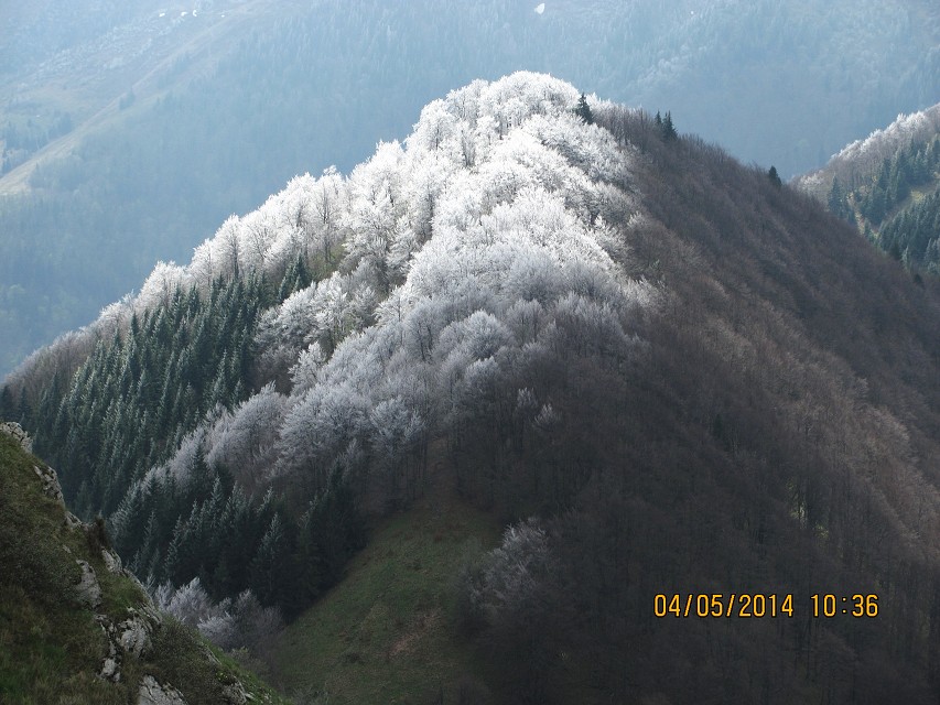img00117.jpg