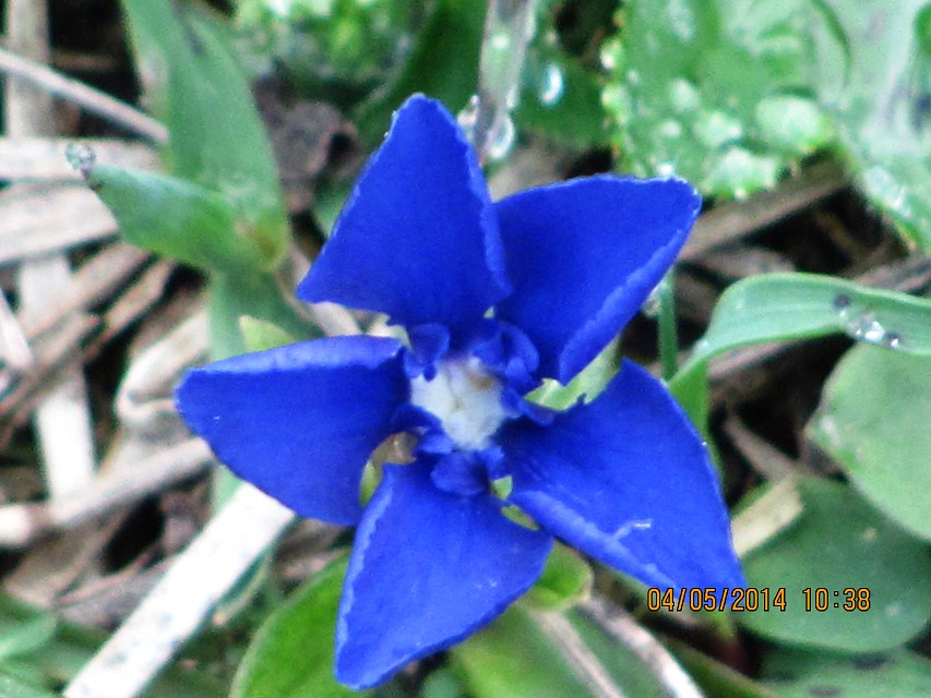 img00119.jpg