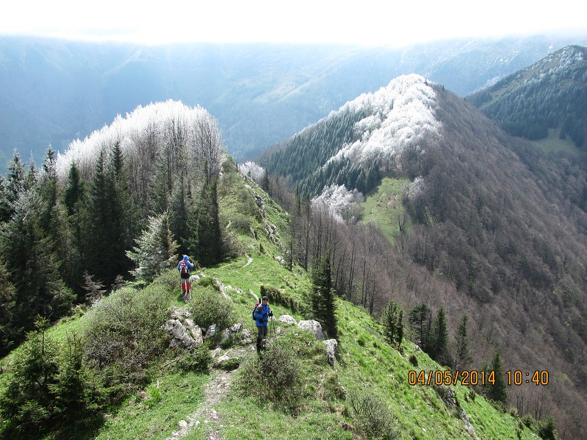 img00120.jpg