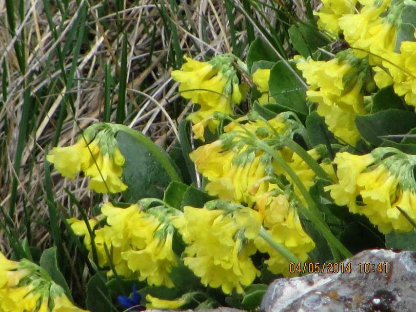 img00121.jpg