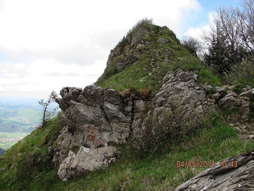 img00122.jpg