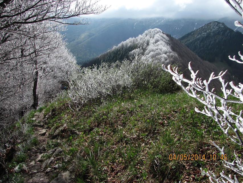img00123.jpg