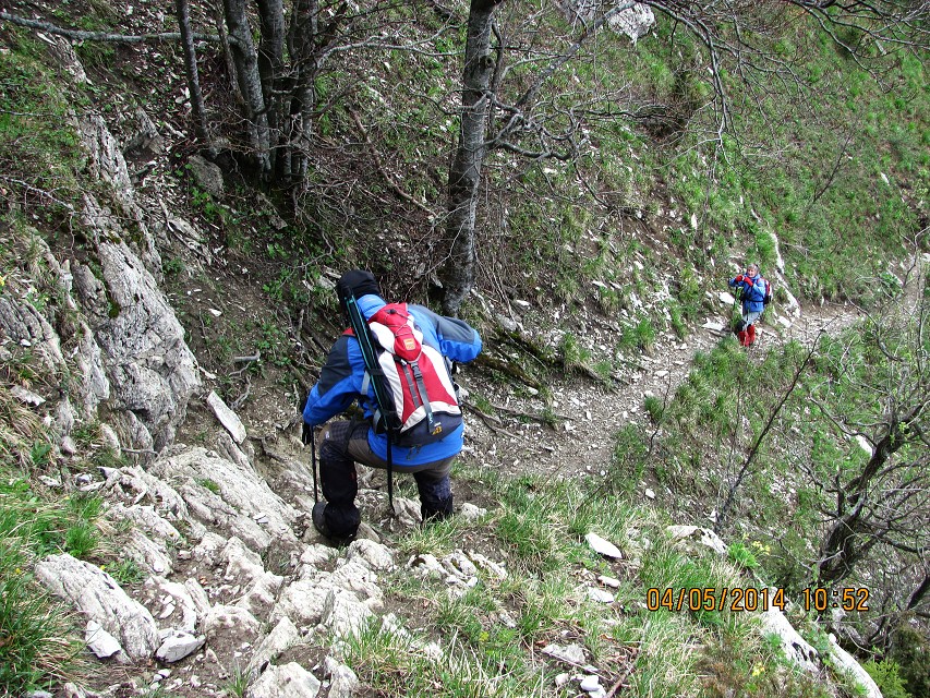 img00125.jpg