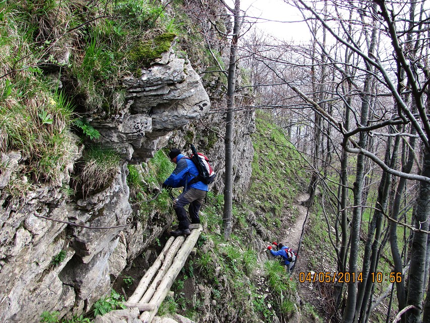img00126.jpg