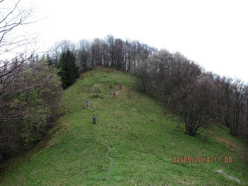 img00127.jpg