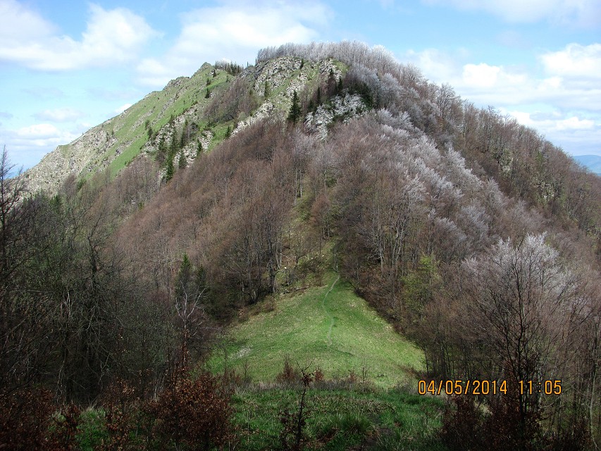 img00129.jpg