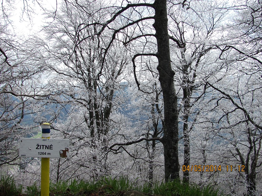 img00130.jpg