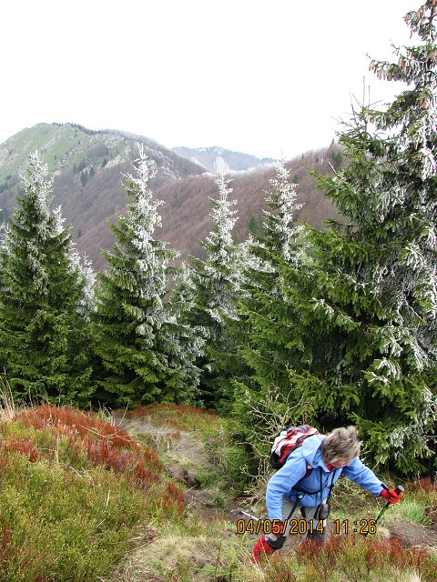 img00131.jpg