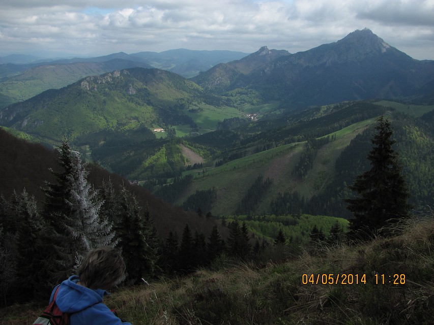 img00132.jpg